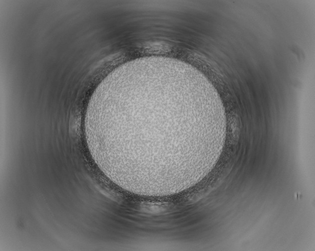 X0000111430745200908241121