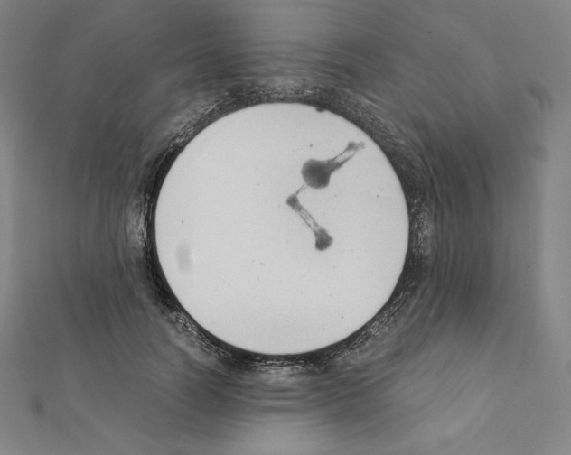 X0000111430746200908241121