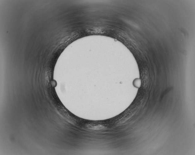 X0000111430747200908241121