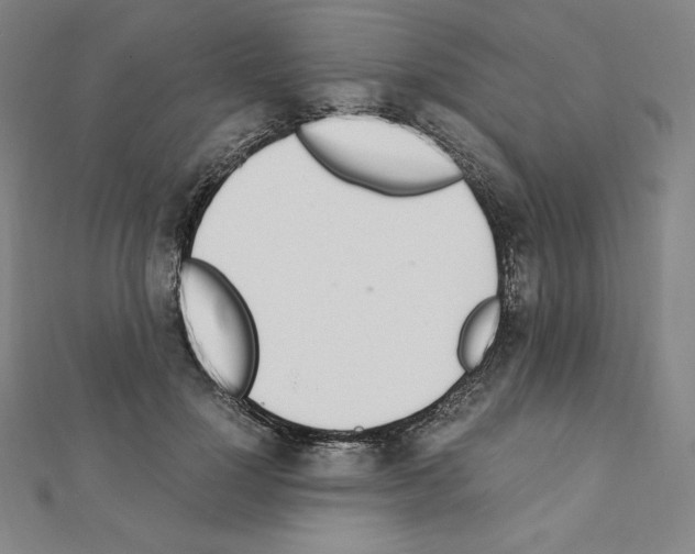 X0000111430748200908241121