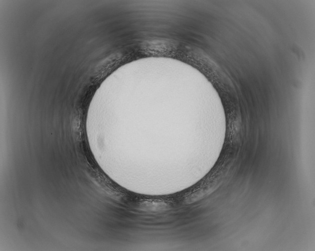 X0000111430749200908241121