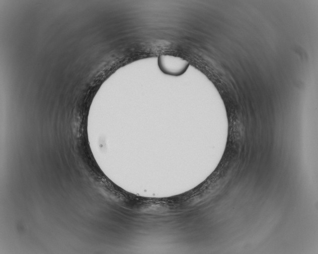 X0000111430750200908241121