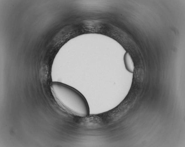 X0000111430752200908241121