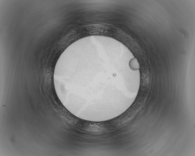 X0000111430753200908241121