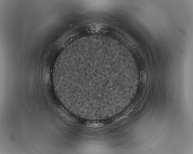 X0000111430754200908241121