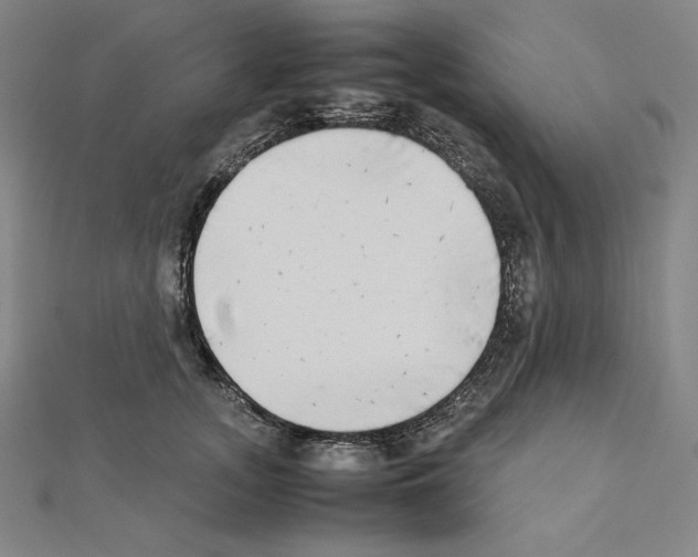 X0000111430755200908241121