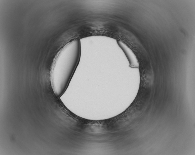 X0000111430756200908241121