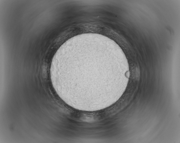 X0000111430757200908241121