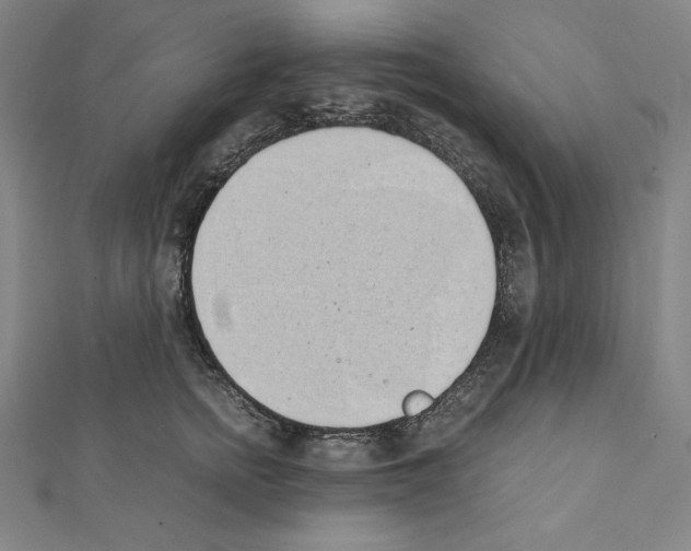 X0000111430758200908241121