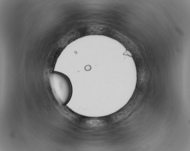 X0000111430759200908241121