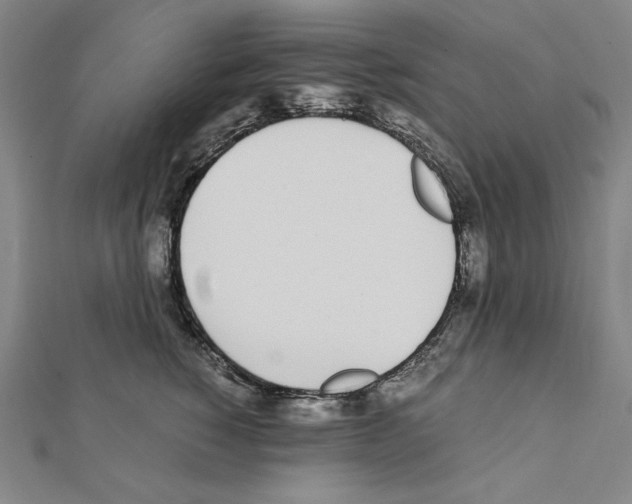 X0000111430760200908241121