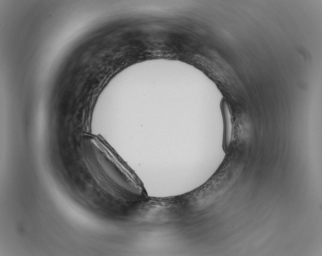 X0000111430764200908241121