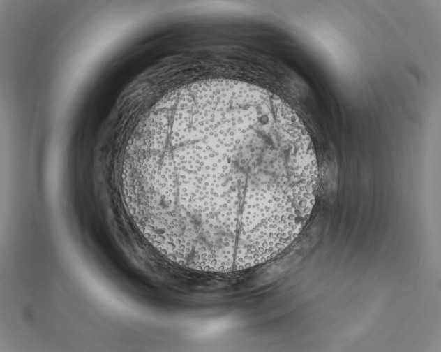 X0000111430765200908241121