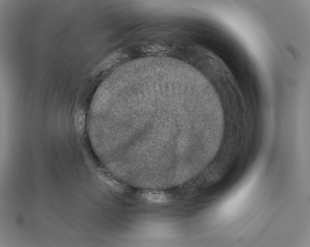X0000111430767200908241121