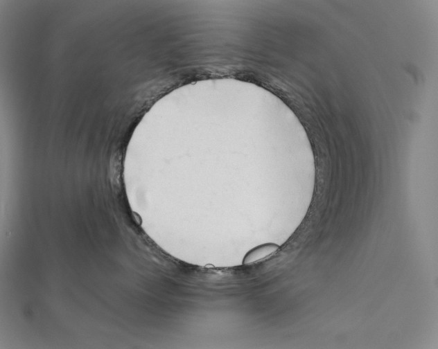 X0000111430768200908241121