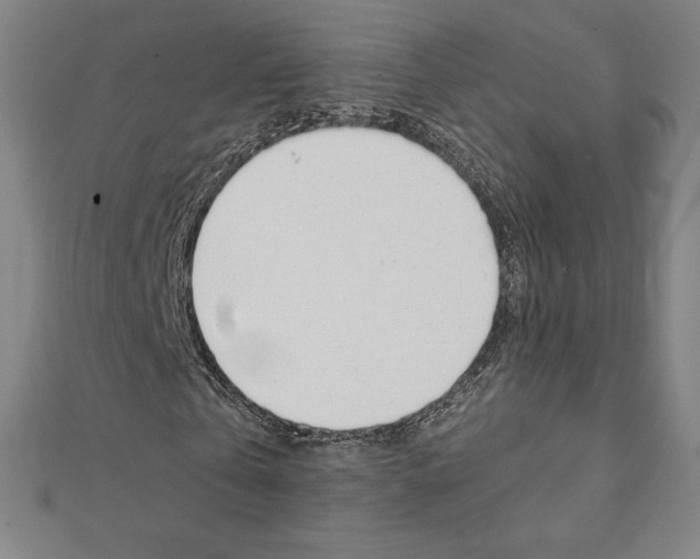X0000111430769200908241120