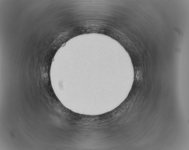 X0000111430771200908241120