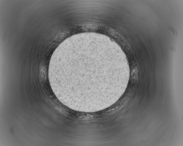 X0000111430772200908241120