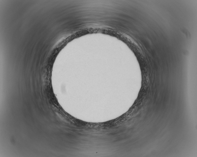 X0000111430775200908241120