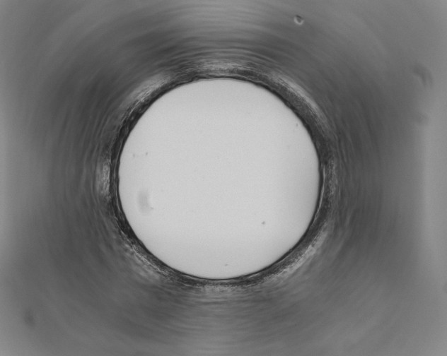 X0000111430777200908241120