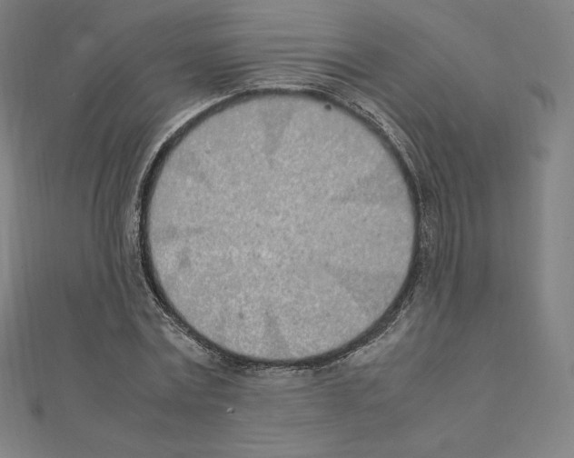 X0000111430779200908241120