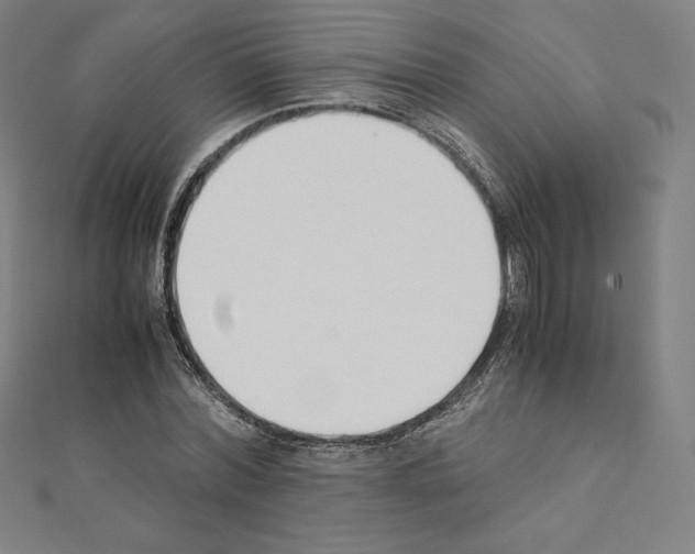 X0000111430780200908241120