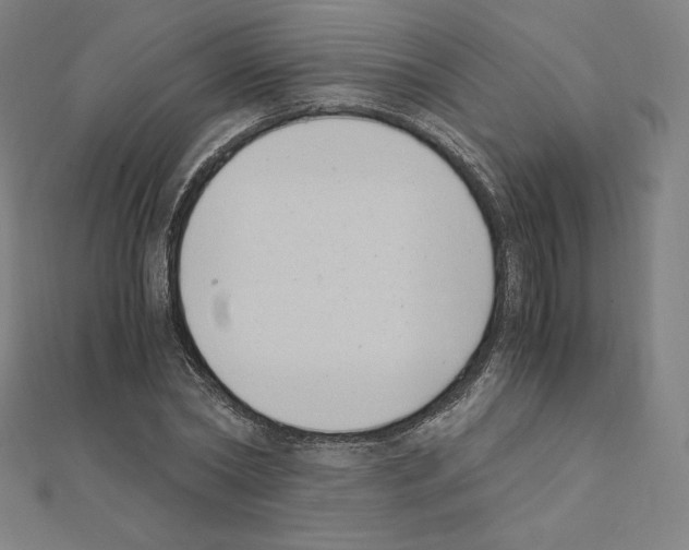 X0000111430782200908241120