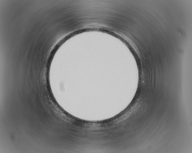 X0000111430783200908241120