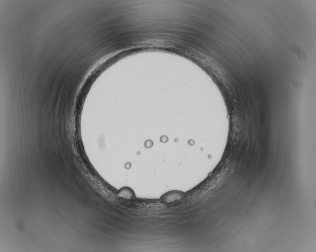X0000111430784200908241120