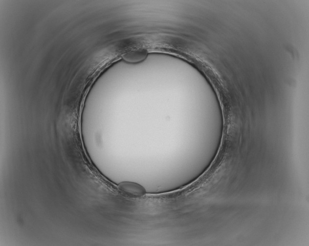 X0000111430785200908241120