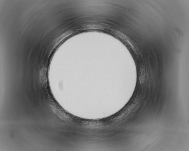 X0000111430786200908241120