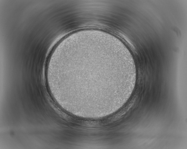 X0000111430788200908241120