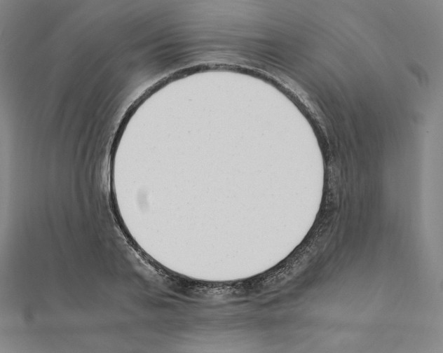 X0000111430791200908241120