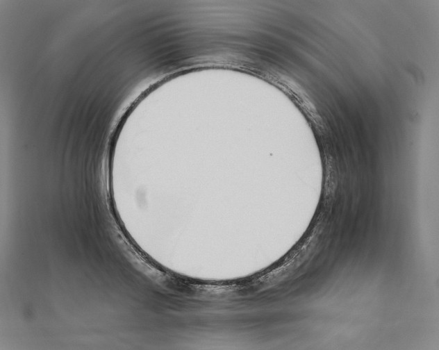 X0000111430796200908241120
