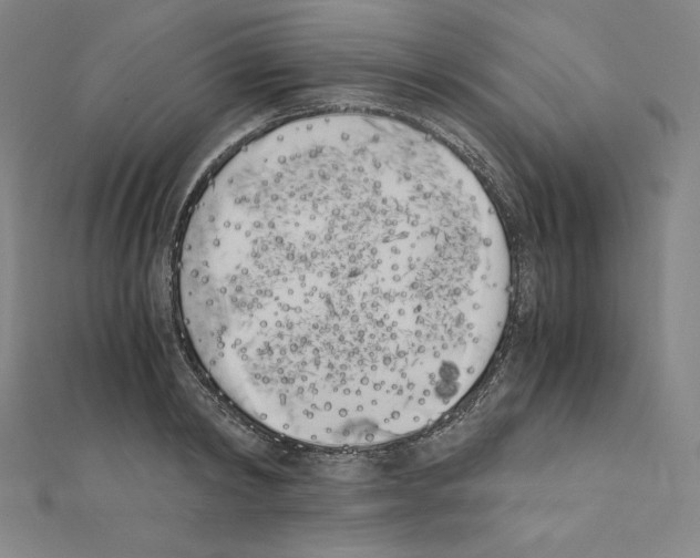 X0000111430798200908241120