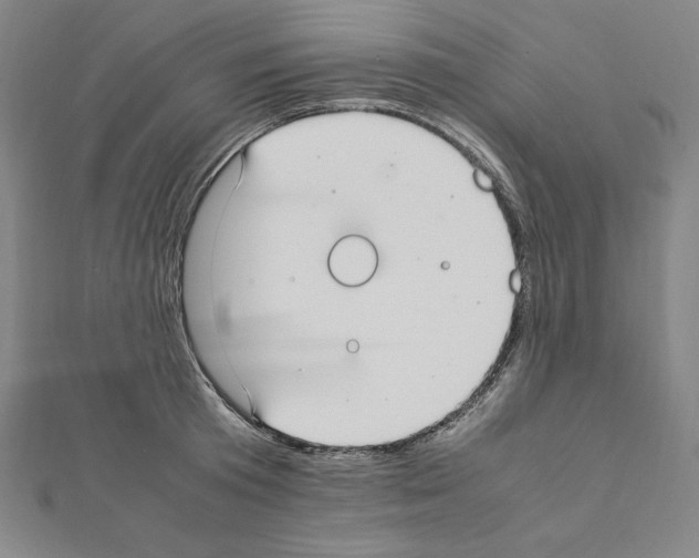 X0000111430801200908241120
