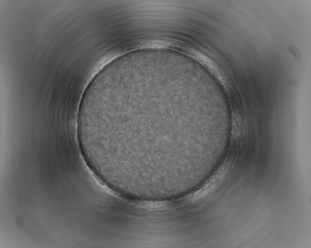 X0000111430802200908241120