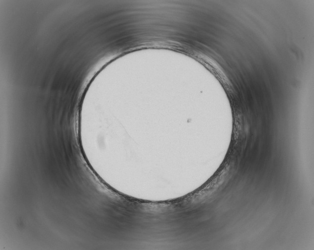 X0000111430804200908241120