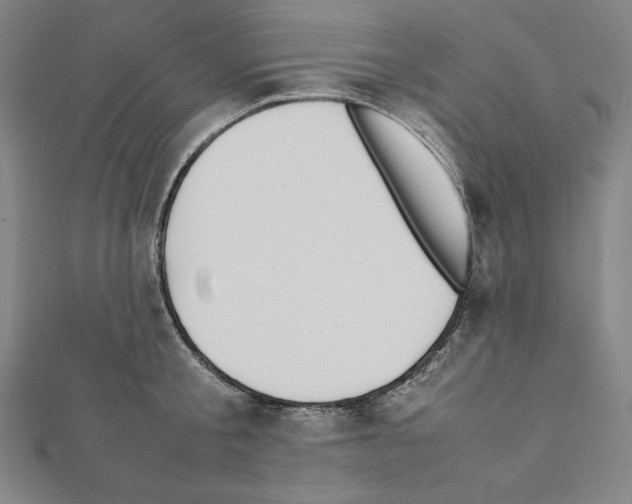 X0000111430805200908241120