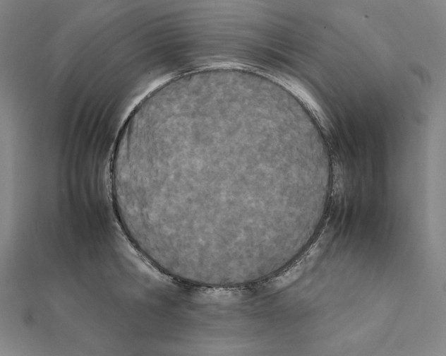 X0000111430806200908241120