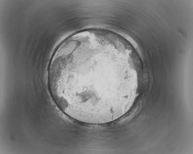 X0000111430807200908241120