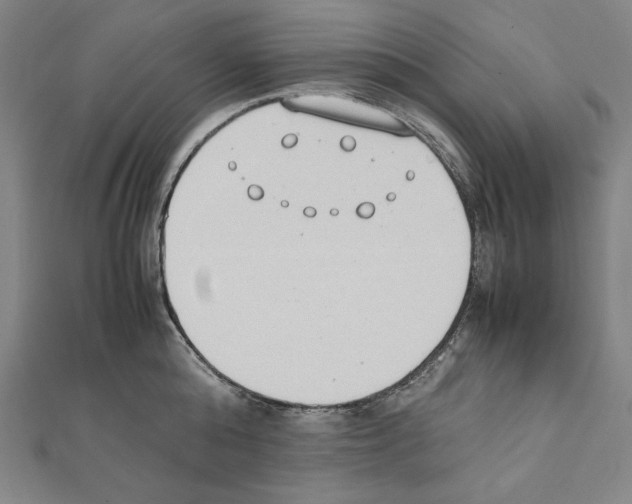 X0000111430808200908241120