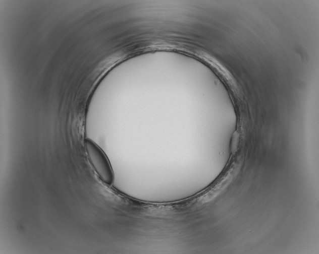 X0000111430809200908241120