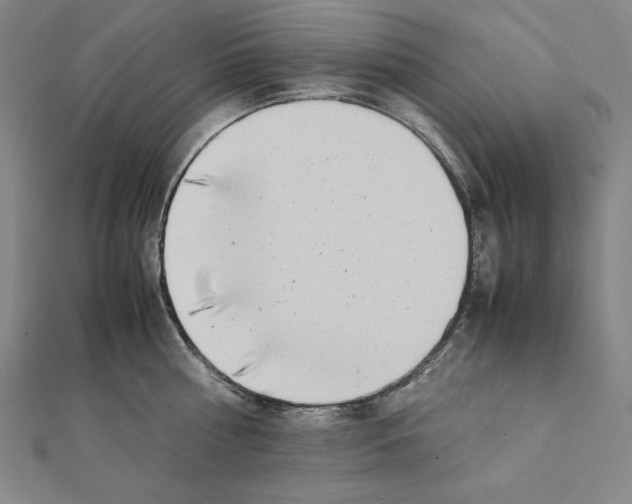 X0000111430810200908241120