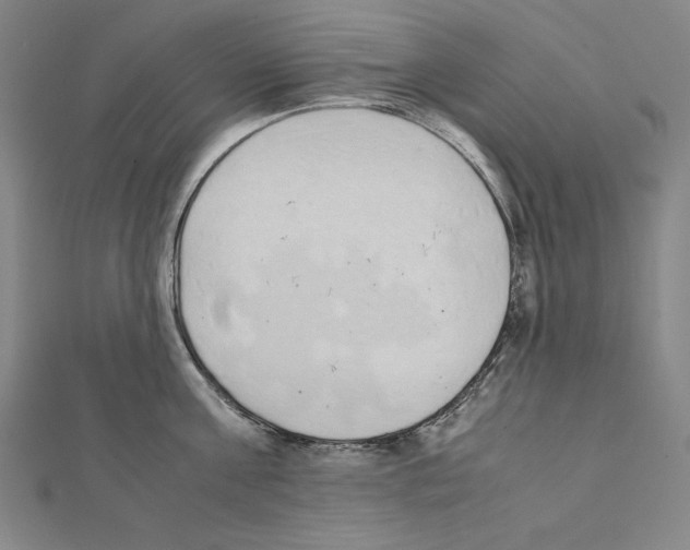 X0000111430811200908241120