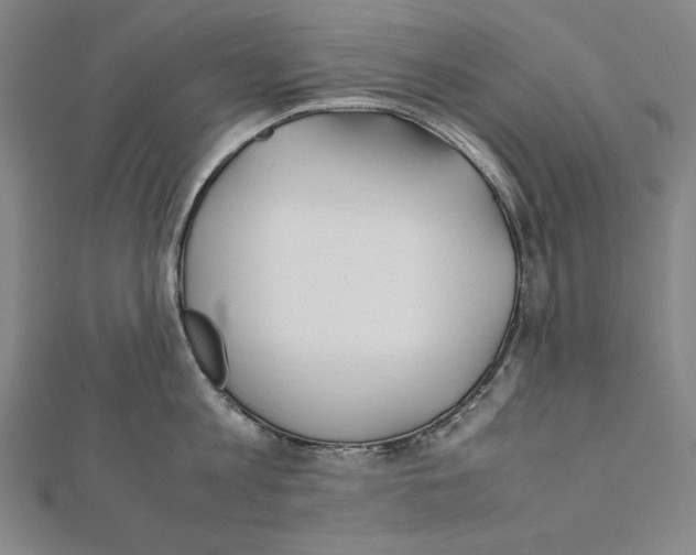 X0000111430813200908241120