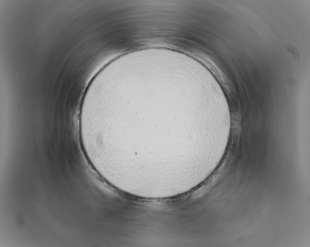 X0000111430814200908241120