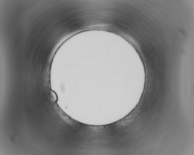 X0000111430816200908241120