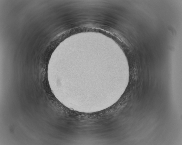 X0000111430821200908241119