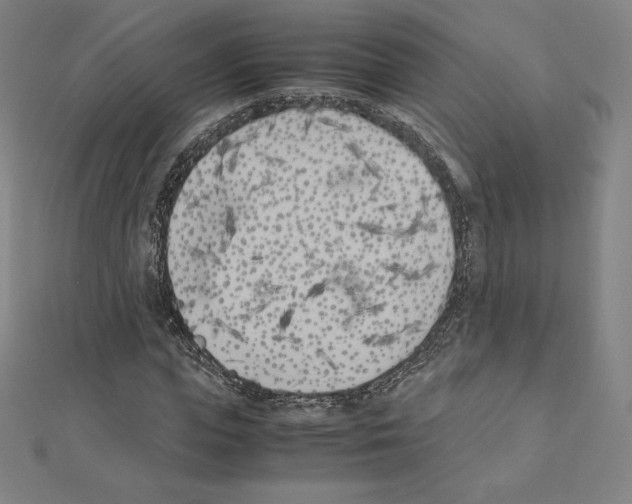 X0000111430823200908241119